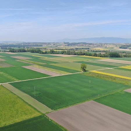 Les Moucherons Avenches Exterior foto